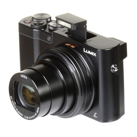 Panasonic Lumix DMC-ZS100 Digital Camera (Black)