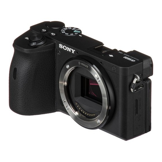 Sony a6600 Mirrorless Camera