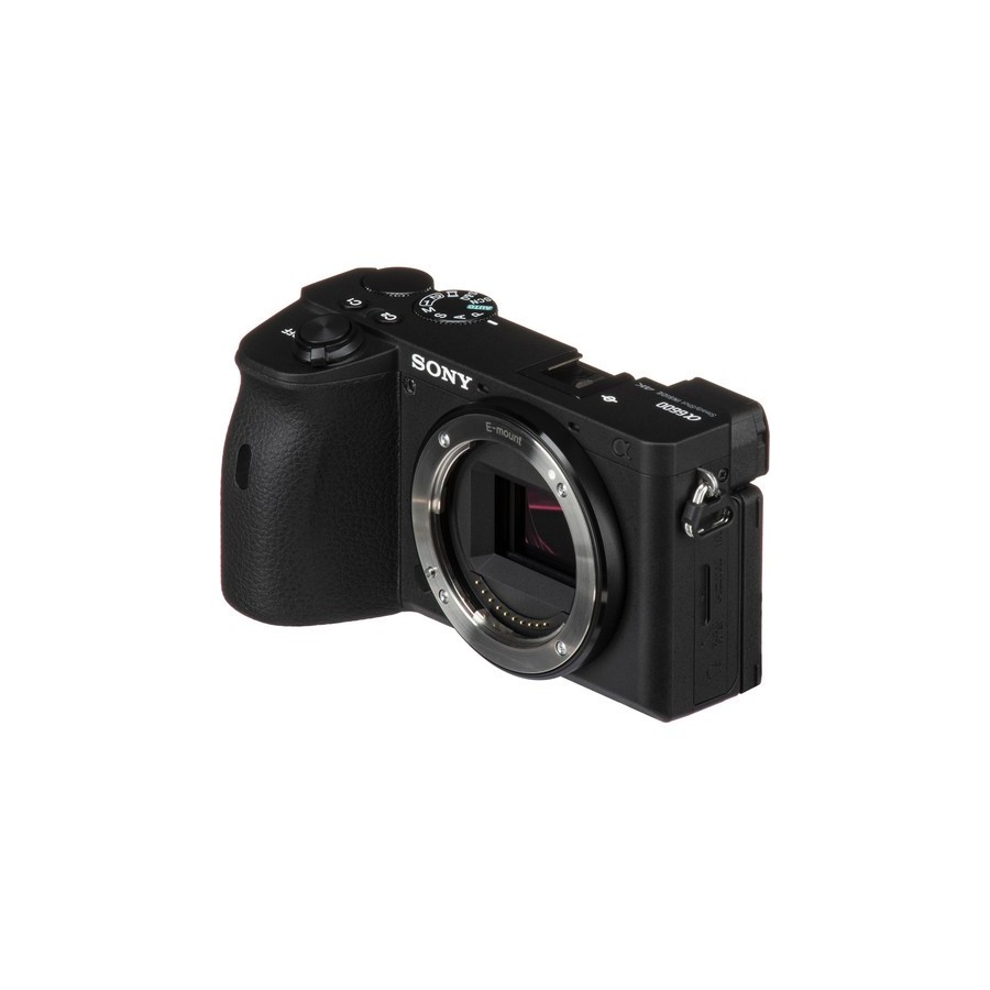 Sony a6600 Mirrorless Camera