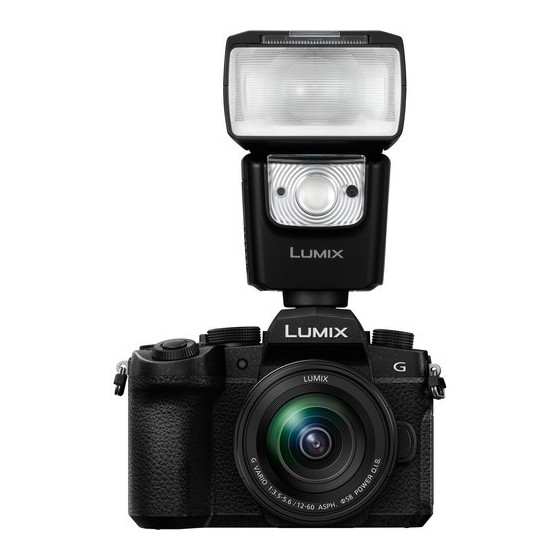 Panasonic Lumix G95 Hybrid Mirrorless Camera with 12-60mm Lens with Accessory Kit