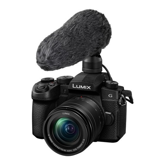 Panasonic Lumix G95 Hybrid Mirrorless Camera with 12-60mm Lens with Accessory Kit