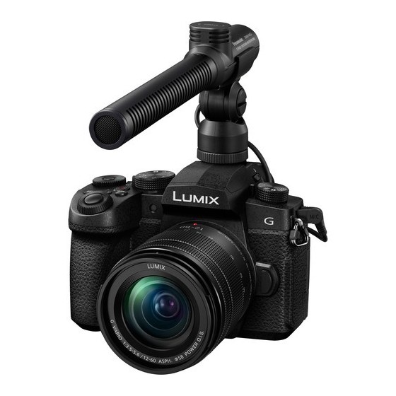 Panasonic Lumix G95 Hybrid Mirrorless Camera with 12-60mm Lens with Accessory Kit