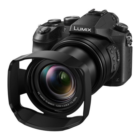 Panasonic Lumix DMC-FZ2500 Digital Camera with Accessory Kit