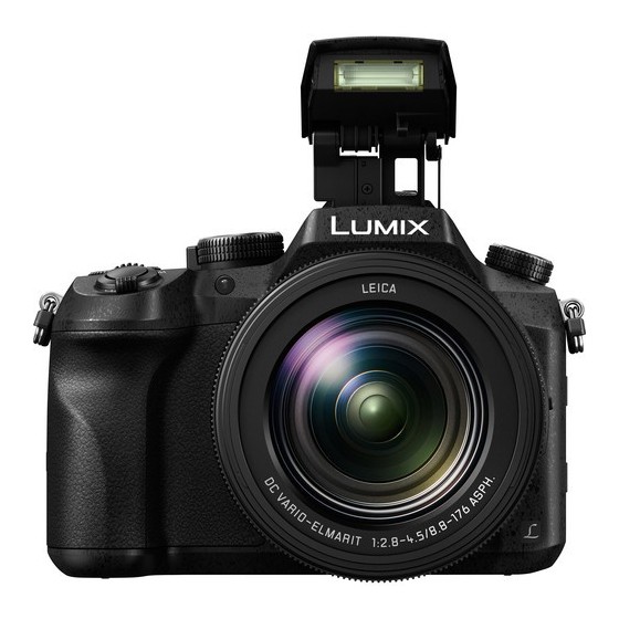 Panasonic Lumix DMC-FZ2500 Digital Camera with Accessory Kit