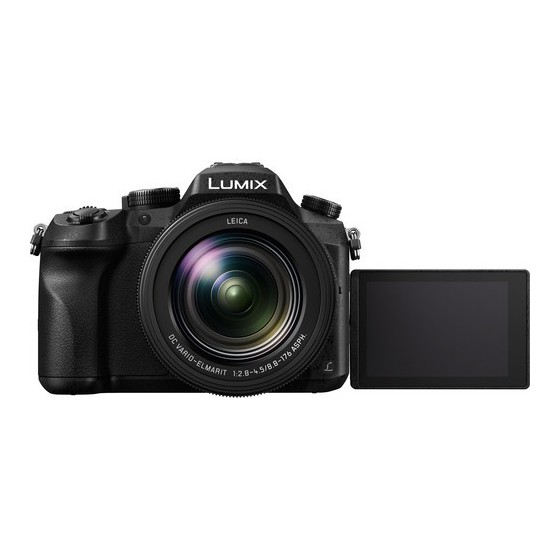 Panasonic Lumix DMC-FZ2500 Digital Camera with Accessory Kit