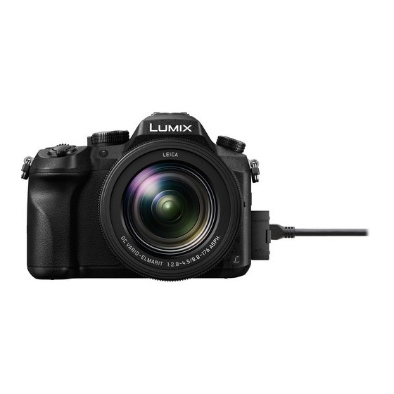 Panasonic Lumix DMC-FZ2500 Digital Camera with Accessory Kit