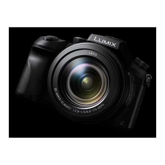 Panasonic Lumix DMC-FZ2500 Digital Camera with Accessory Kit