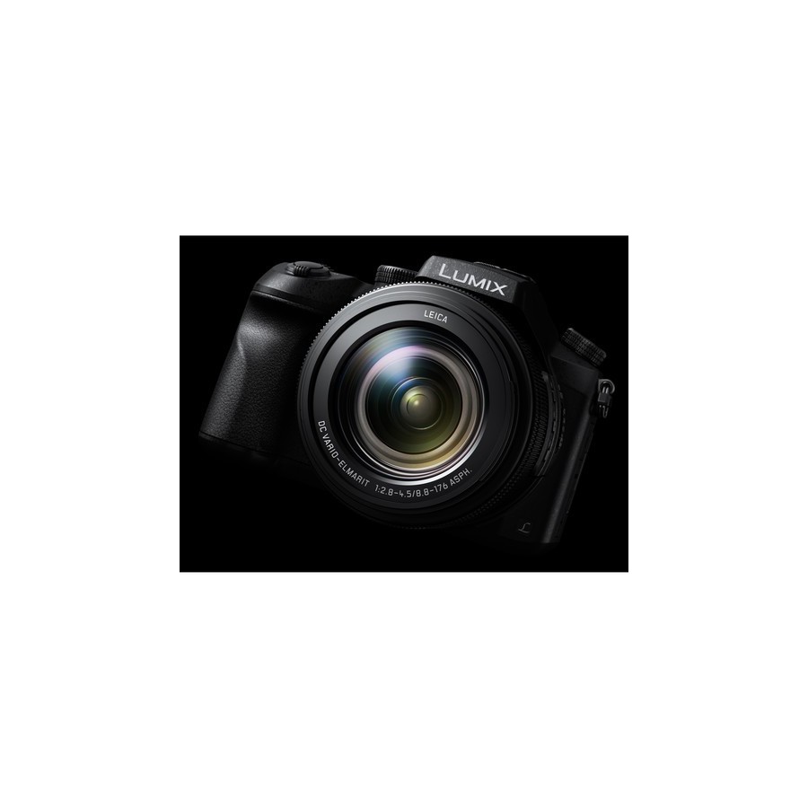 Panasonic Lumix DMC-FZ2500 Digital Camera with Accessory Kit