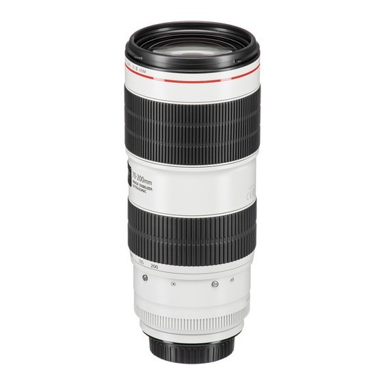 Canon EF 70-200mm f/2.8L IS III USM Lens