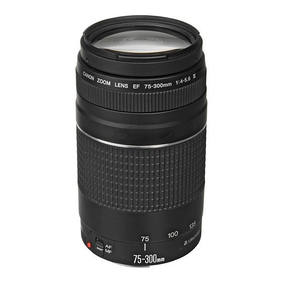 Canon EF 75-300mm f/4-5.6 III Lens