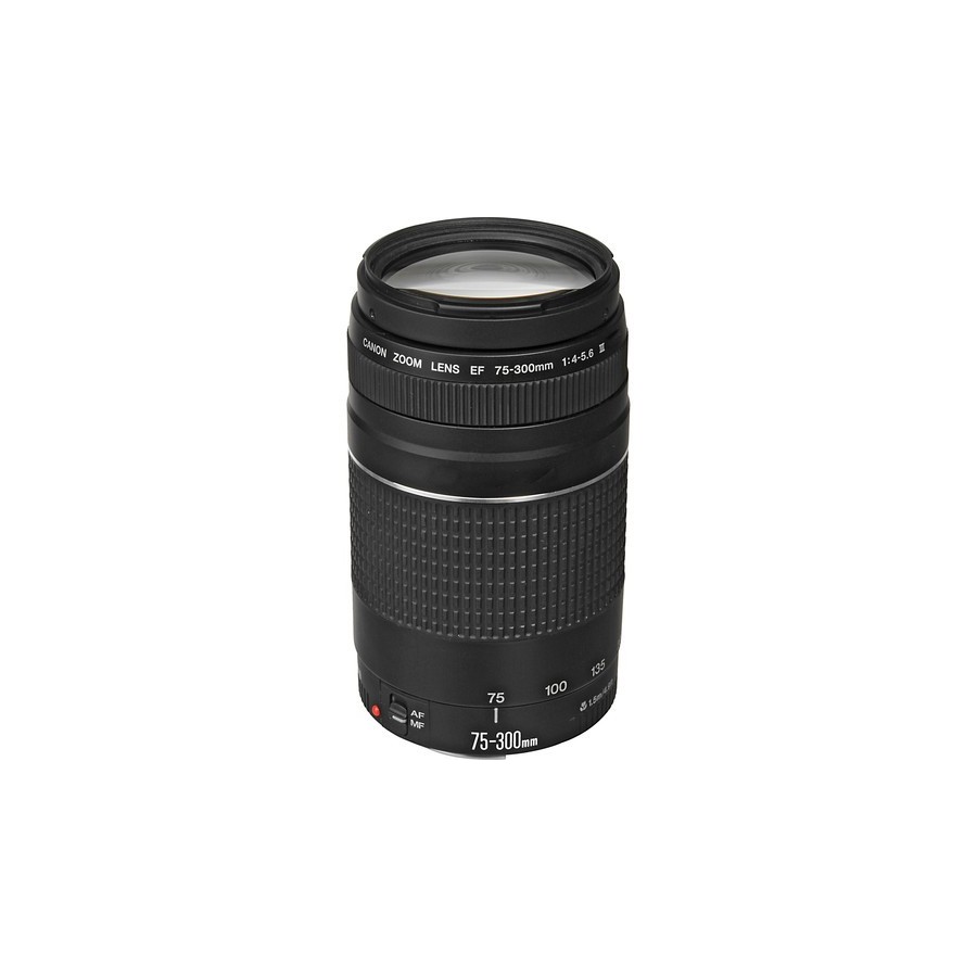 Canon EF 75-300mm f/4-5.6 III Lens