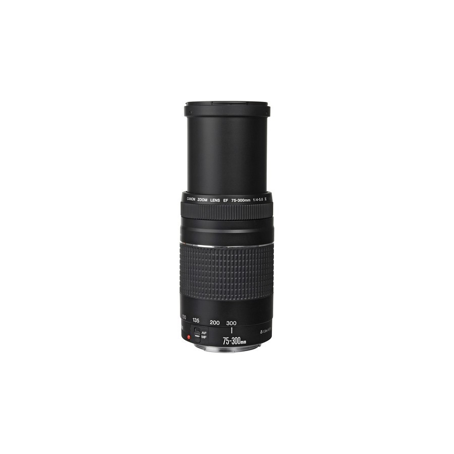 Canon EF 75-300mm f/4-5.6 III Lens