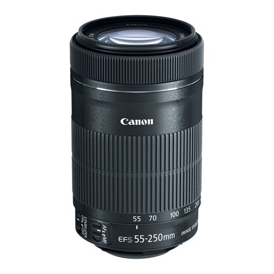 Canon EF-S 55-250mm f/4-5.6 IS STM Lens