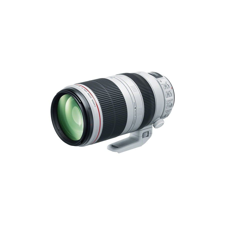 Canon EF 100-400mm f/4.5-5.6L IS II USM Lens