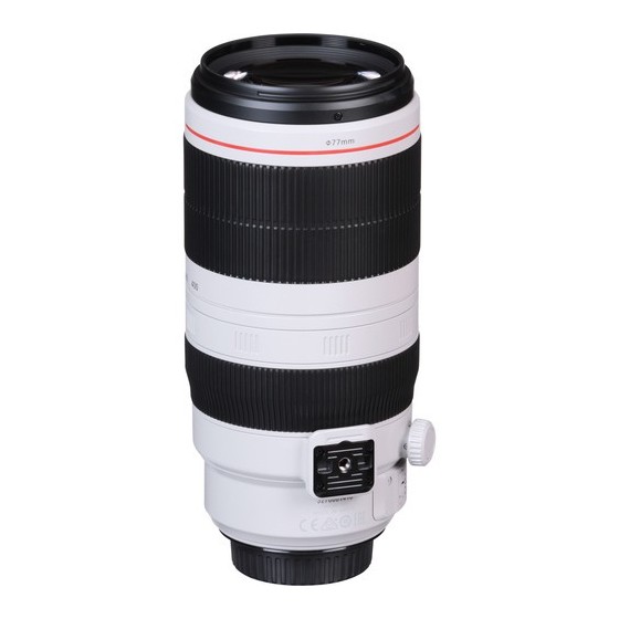 Canon EF 100-400mm f/4.5-5.6L IS II USM Lens