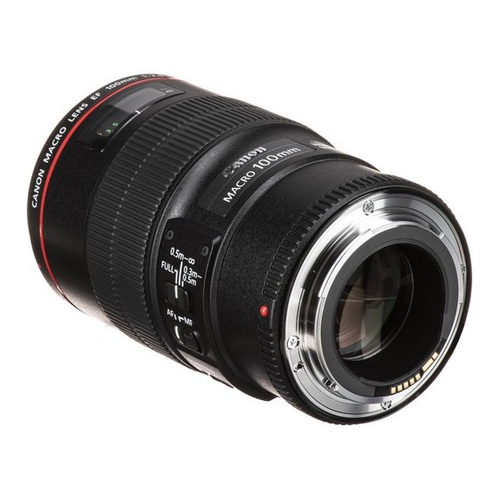 Canon EF 100mm f/2.8L Macro IS USM Lens