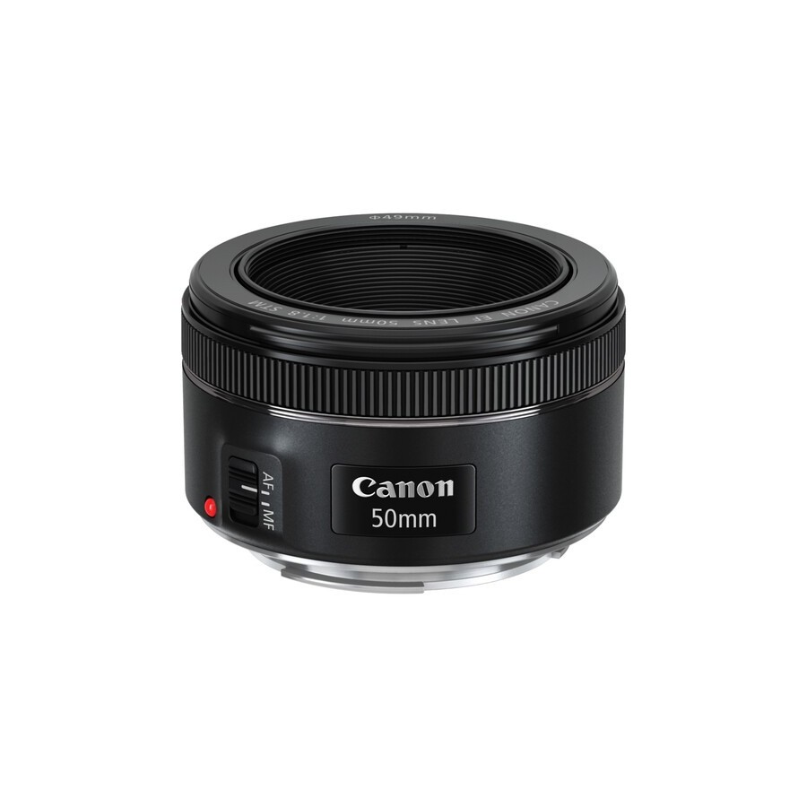 Canon EF 50mm f/1.8 STM Lens + Speedlite EL-100 Creative Photography Kit